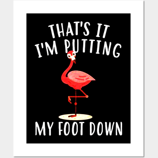 Funny Flamingo Posters and Art